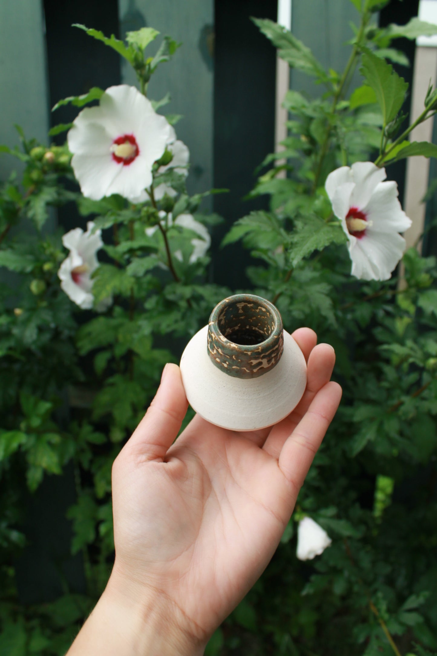 white clay candle holder with crawling sage green glaze. held in hand against a dark foliage background with hibiscus flowers.