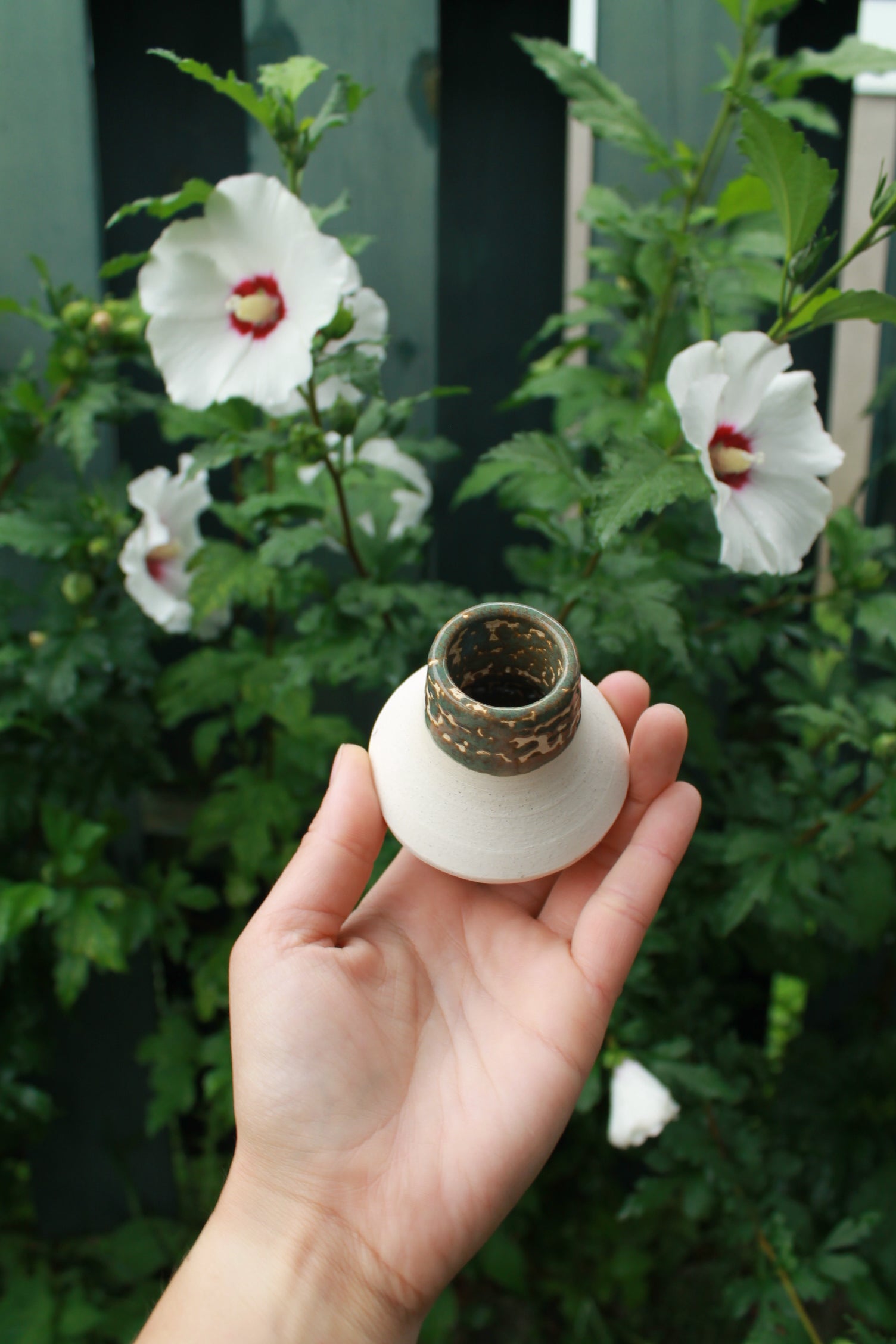 white clay candle holder with crawling sage green glaze. held in hand against a dark foliage background with hibiscus flowers.